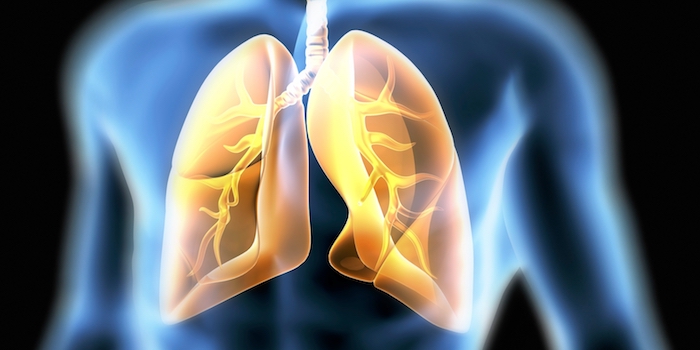 Norddeutsche Lungenkrebszentren starten HANSE Lungen-Check