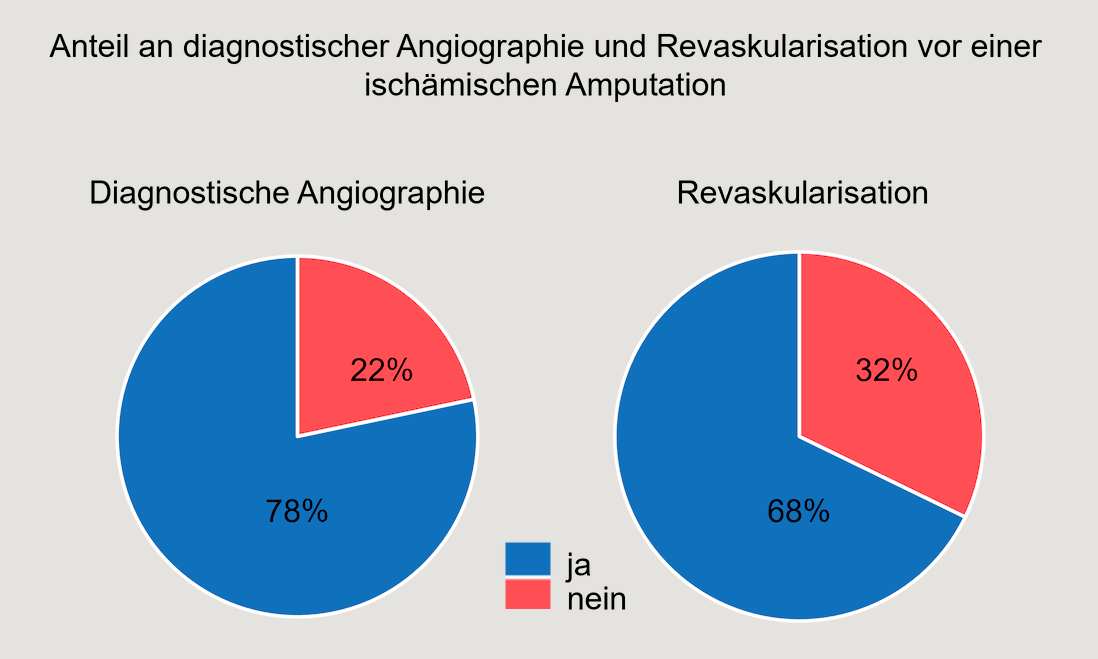 Anteil an diagnostischer Angiographie und Revaskularisation vor einer ischämischen Amputation (© Dt. Gesellschaft für Angiologie - Gesellschaft für Gefäßmedizin e.V.)